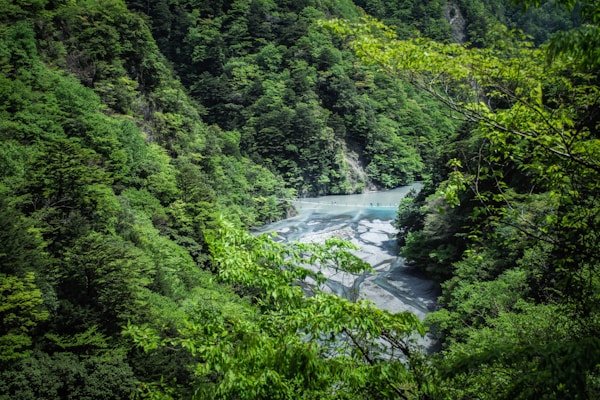 绿源环保公益短剧《地球守护者》 绿源环保公益短剧《地球守护者》 - 漫剧工坊客户案例展示
